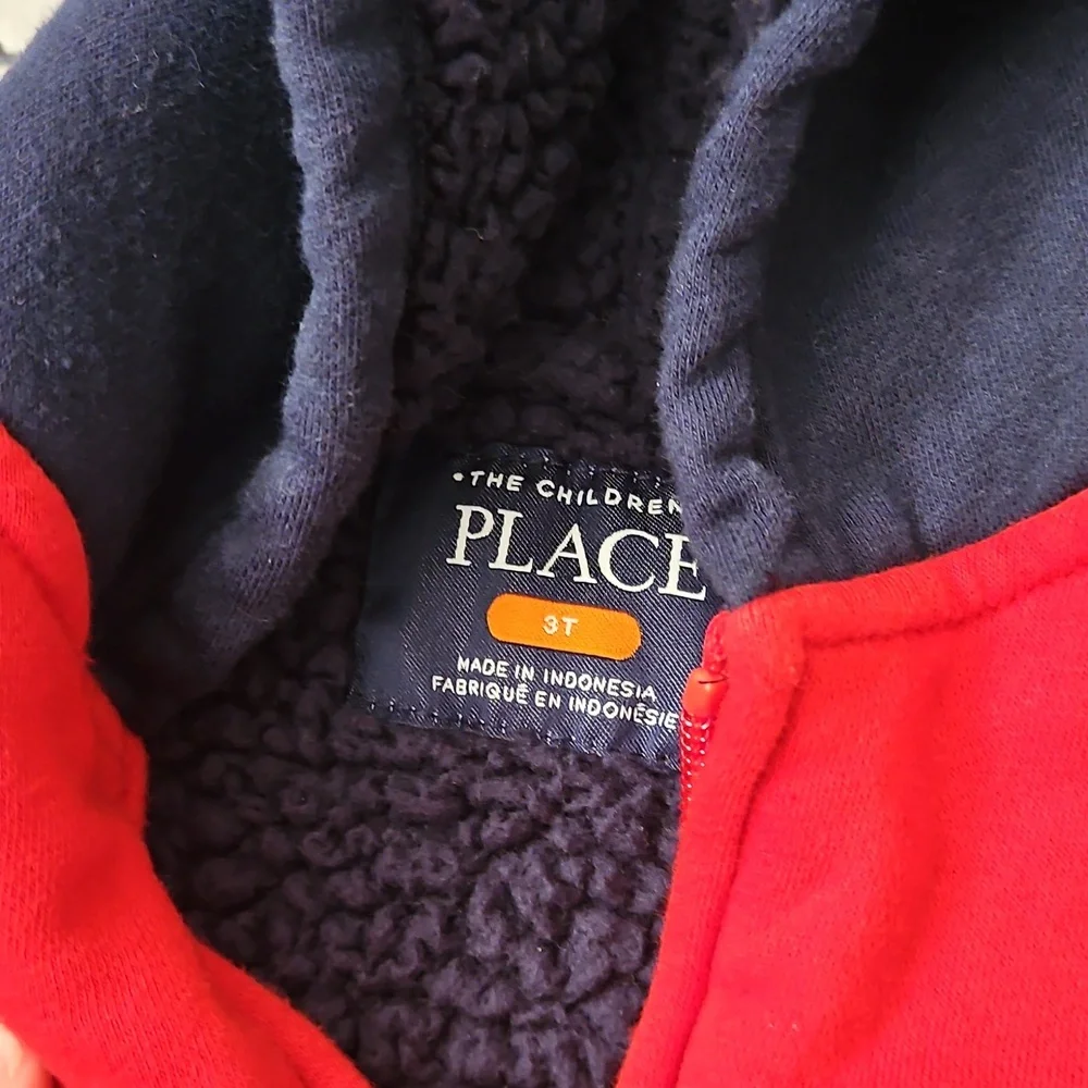The Children's Place Red and Blue Hoodie Size 3t